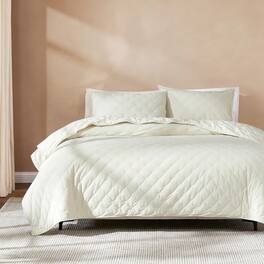 Earthley Blooms - Quilt Set Cozy Bedding With Matching Shams Embroidered Design haven Fullqueen - Haven Cream-Full/Queen