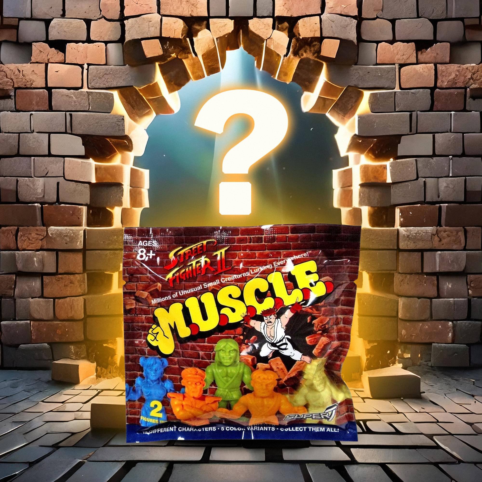 AGES 8+  
STREET FIGHTER II  
MUSCLE  
Millions of Unusual Small Creatures  
5 Different Characters - 5 Color Variants - Collect Them All!  
2  
SUPER