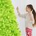 Alt View 7. Best Choice Products - Artificial Lime Green Christmas Tree, Unlit Pine Design w/Easy Assembly - Lime Green.