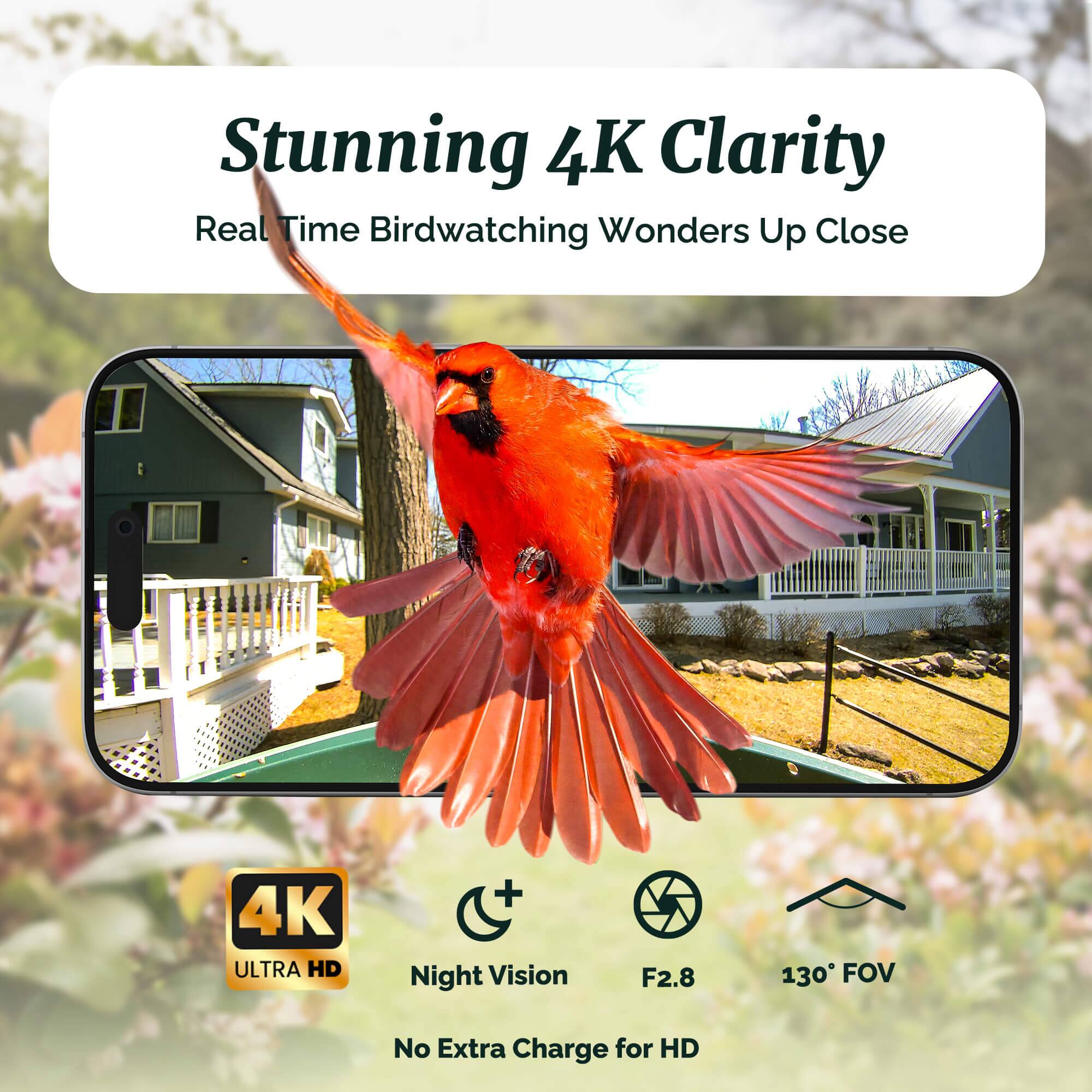 Stunning 4K Clarity  
Real Time Birdwatching Wonders Up Close  

4K ULTRA HD + Night Vision  
F2.8  
130° FOV  
No Extra Charge for HD