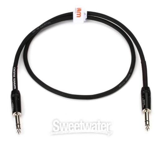 CIC RM AUDIO WAAm Sweetwater