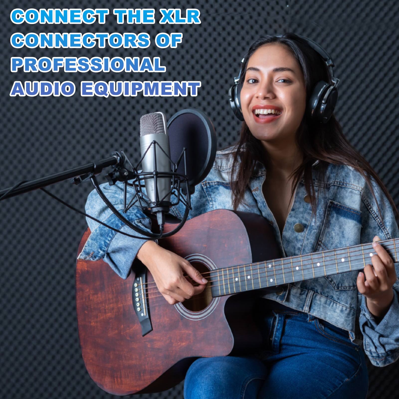 CONNECT THE XLR CONNECTORS OF PROFESSIONAL AUDIO EQUIPMENT