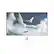 Alt View 2. Arozzi - Arozzi – Nova 32" IPS QHD 180Hz Gaming Monitor – White - AZ-NO-32T2K180-WT.