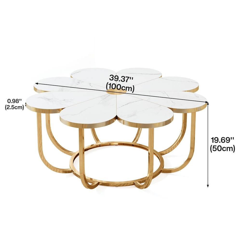 0.98" (2.5cm), 39.37" (100cm), 19.69" (50cm)