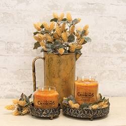 The text on the image reads:

"Cinnamon & Sage"