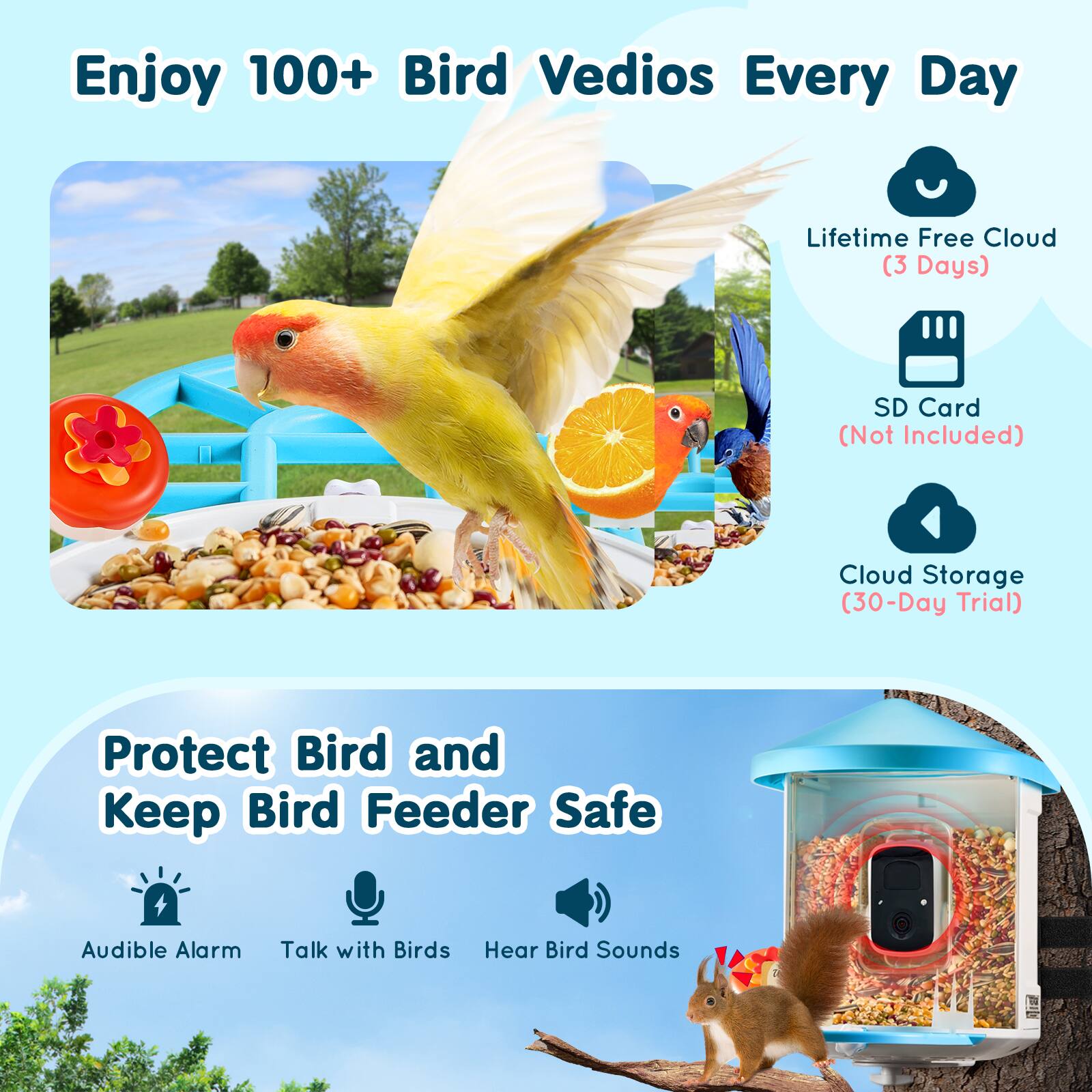 Enjoy 100+ Bird Videos Every Day

- Lifetime Free Cloud (3 Days)
- SD Card (Not Included)
- Cloud Storage (30-Day Trial)

Protect Bird and Keep Bird Feeder Safe

- Audible Alarm
- Talk with Birds
- Hear Bird Sounds