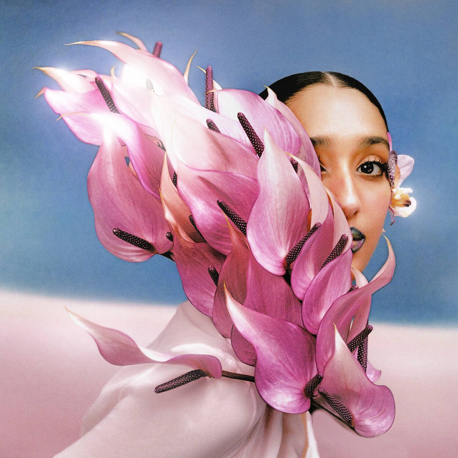 Alt View 1. Raveena - Where the Butterflies Go in the Rain - Deluxe   - VINYL LP.