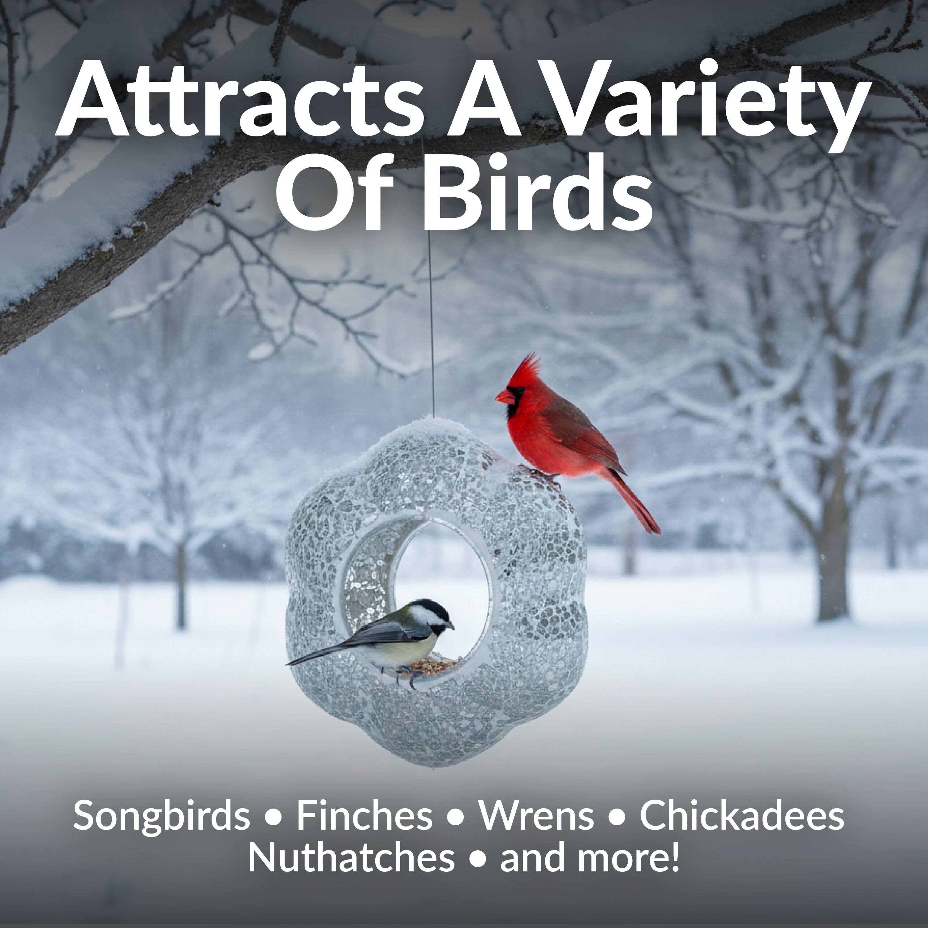 Attracts A Variety Of Birds

Songbirds • Finches • Wrens • Chickadees • Nuthatches • and more!