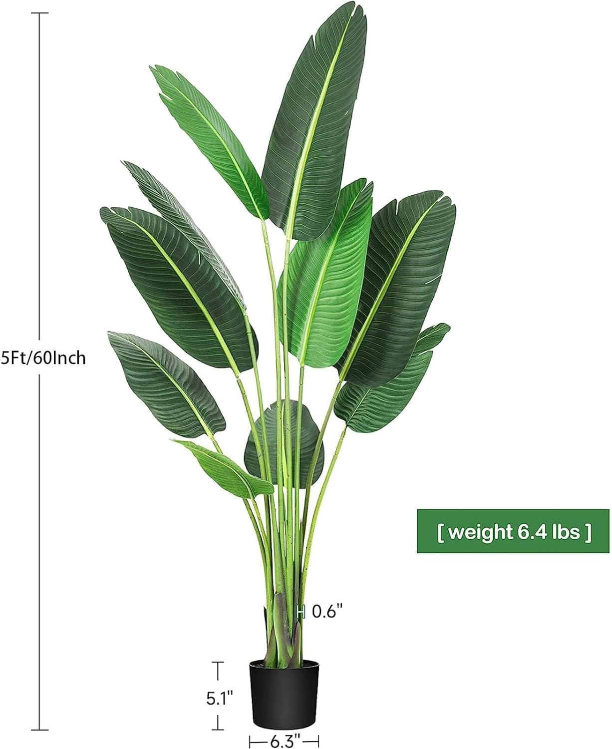 5Ft/60Inch  
[weight 6.4 lbs]  
H 0.6"  
T 5.1"  
T 6.3"