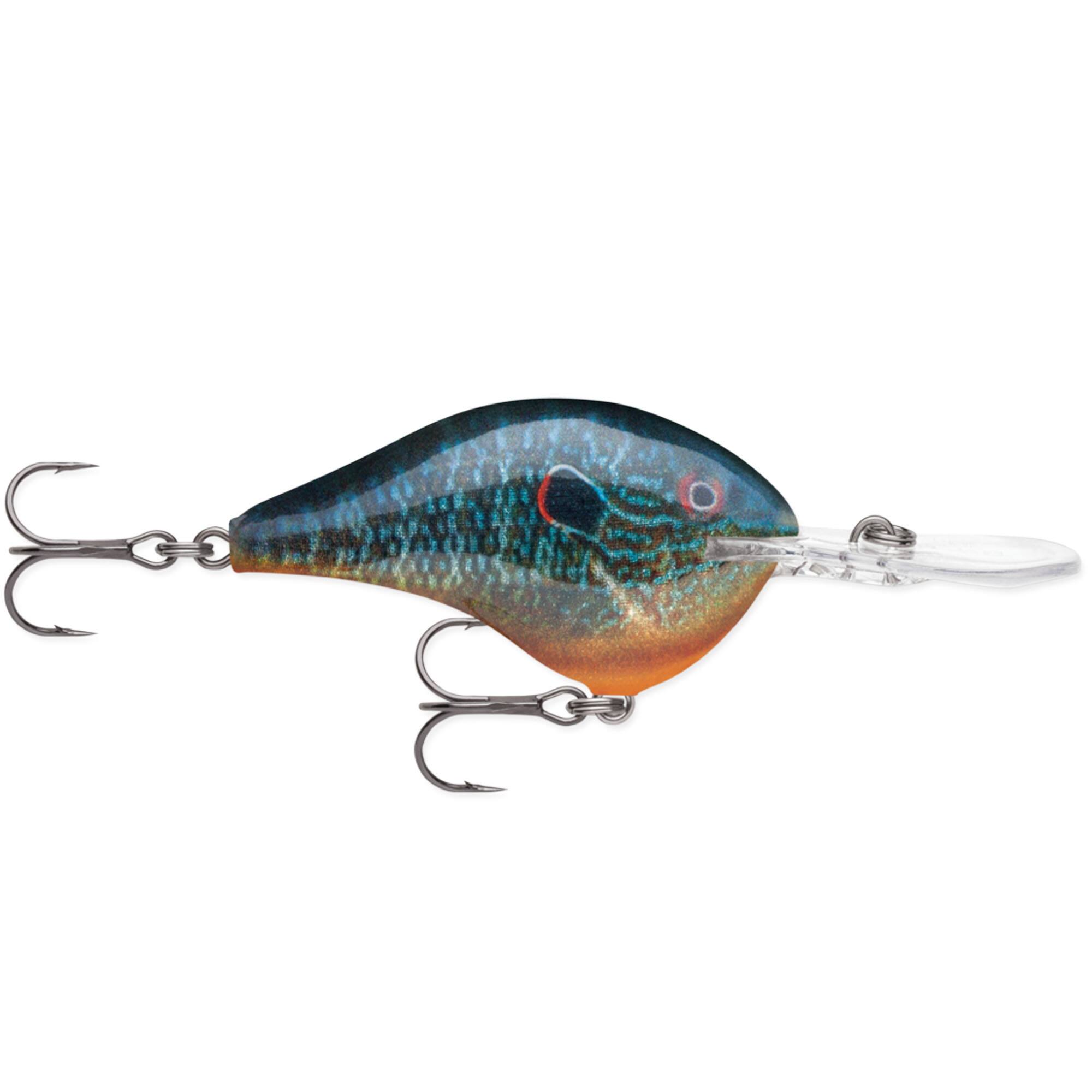 Live Pumpkinseed