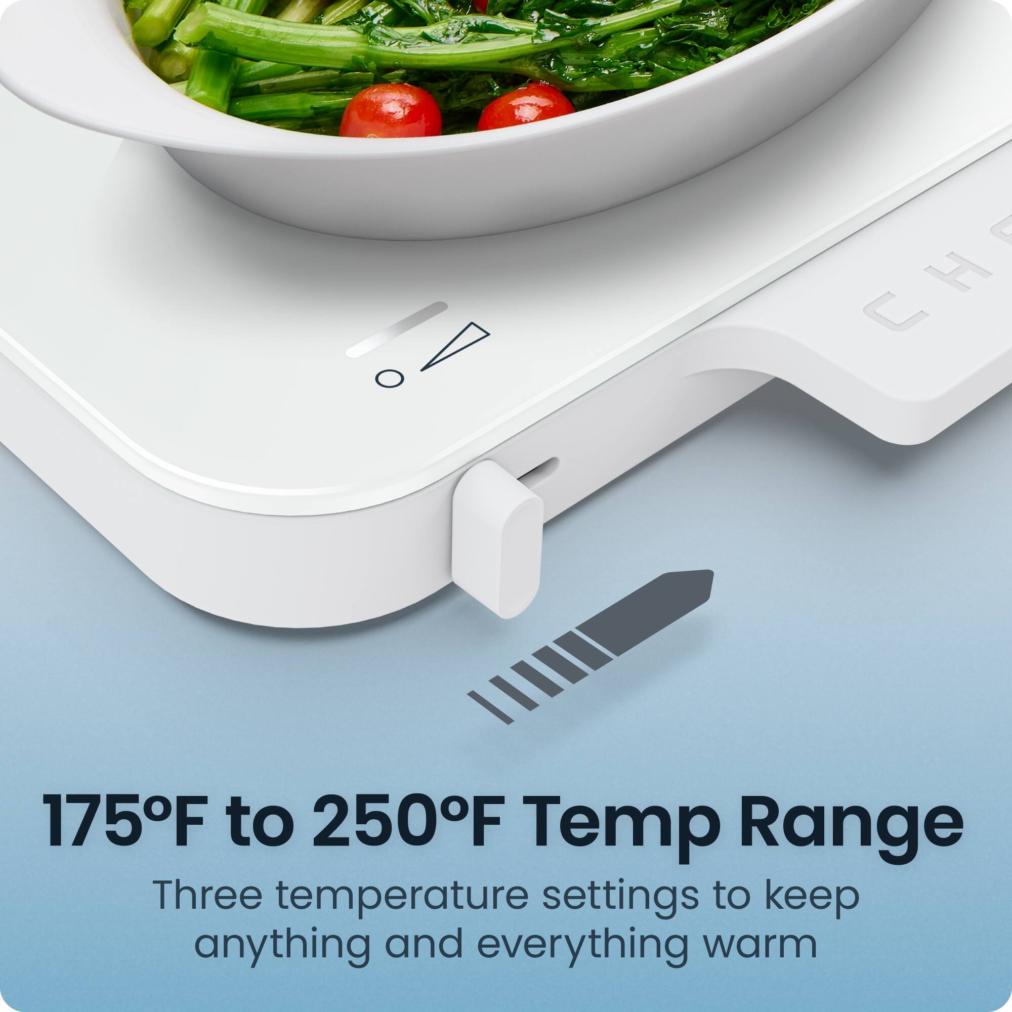 175°F to 250°F Temp Range  
Three temperature settings to keep anything and everything warm