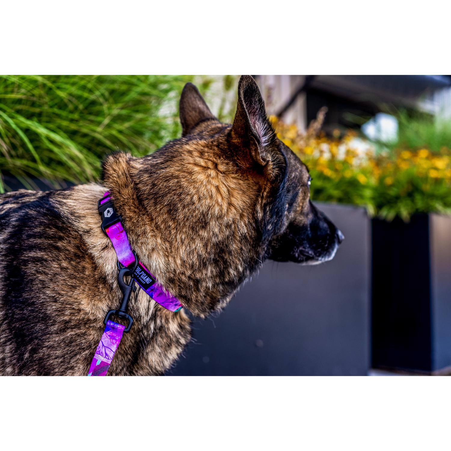 Left. WOLFGANG PET - Wolfgang Pink DayDream Polyester Dog Adjustable Collar Large - Pink.