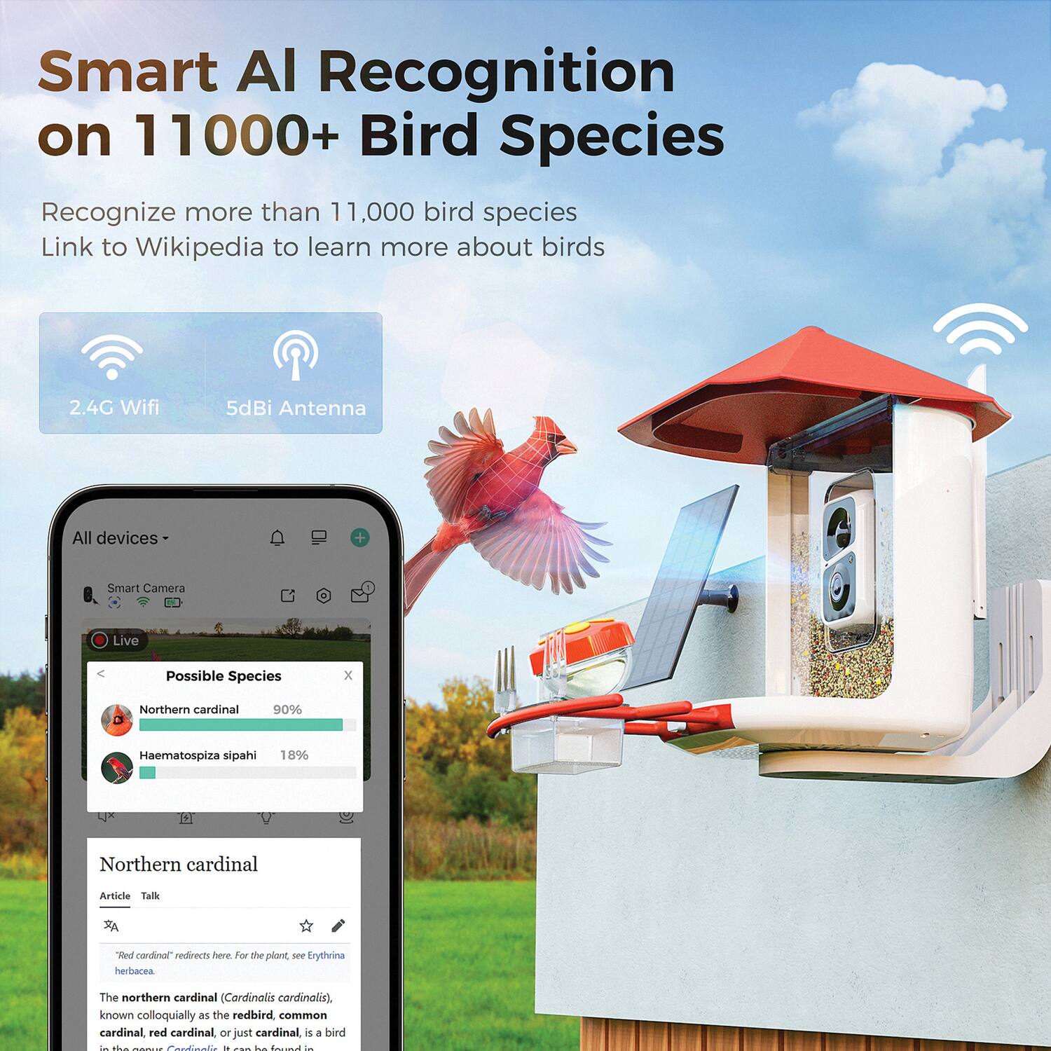 Smart AI Recognition on 11000+ Bird Species  
Recognize more than 11,000 bird species  
Link to Wikipedia to learn more about birds  

2.4G Wifi  
5dBi Antenna  

All devices + Smart Camera  

Live  

Possible Species  
- Northern cardinal 90%  
- Haematospiza sipahi 18%  

Northern cardinal  
Article Talk  
"Aed confinal" redirects here. For the plant, see Erythrina herbacea.  

The northern cardinal (Cardinalis cardinalis), known colloquially as the redbird, common cardinal, red cardinal, or just cardinal, is a bird in the genus Cardinalis. It can be found in the eastern United States, Mexico, and Canada.