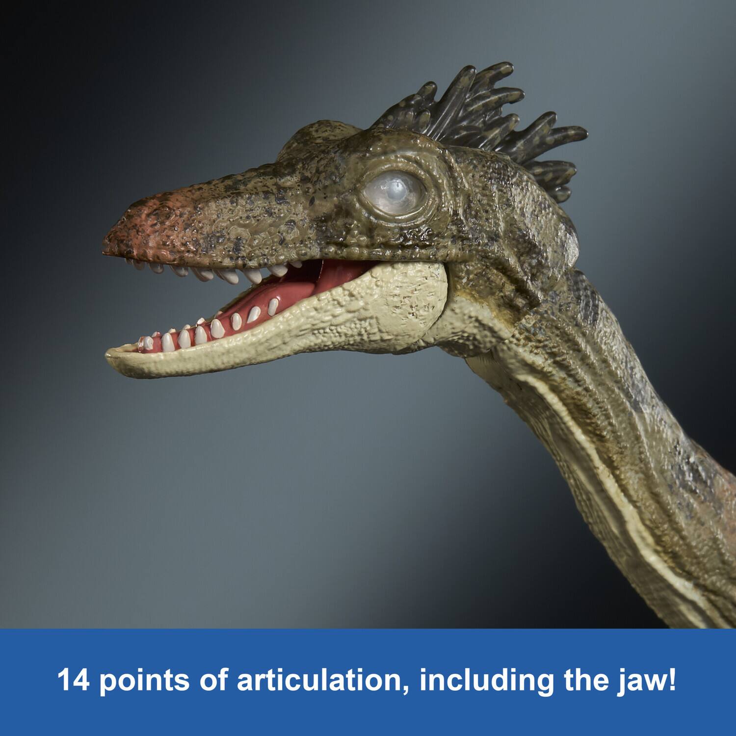 14 points of articulation, including the jaw!