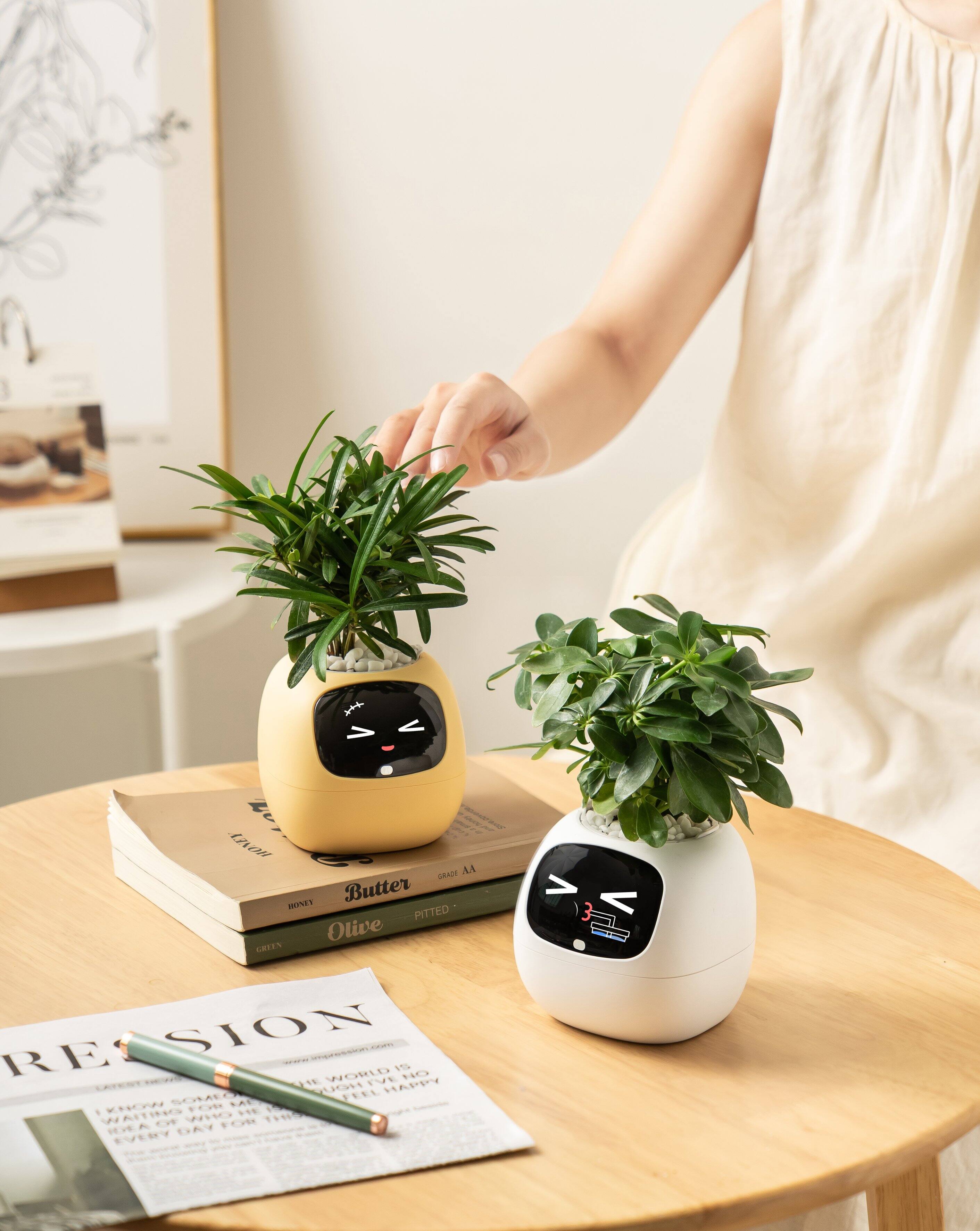 1 < y 08 DRAZE AA Butter HONEY PITTED Olive GRTIN A > < 3 RE SION - CO ... 1S UR WORLD IVE HO RUGH FEEL HAPPY SOME LAG LXHOWW FOR E W WAITING OF WHO FOR HO ICELO DAYY EVERY

Corrected text:
1 < y 08 DRAZE AA Butter HONEY PITTED Olive GRTIN A > < 3 RE SION - CO ... 1S UR WORLD IVE HO RUGH FEEL HAPPY SOME LAG LXHOWW FOR E W WAITING OF WHO FOR HO ICELO DAYY EVERY