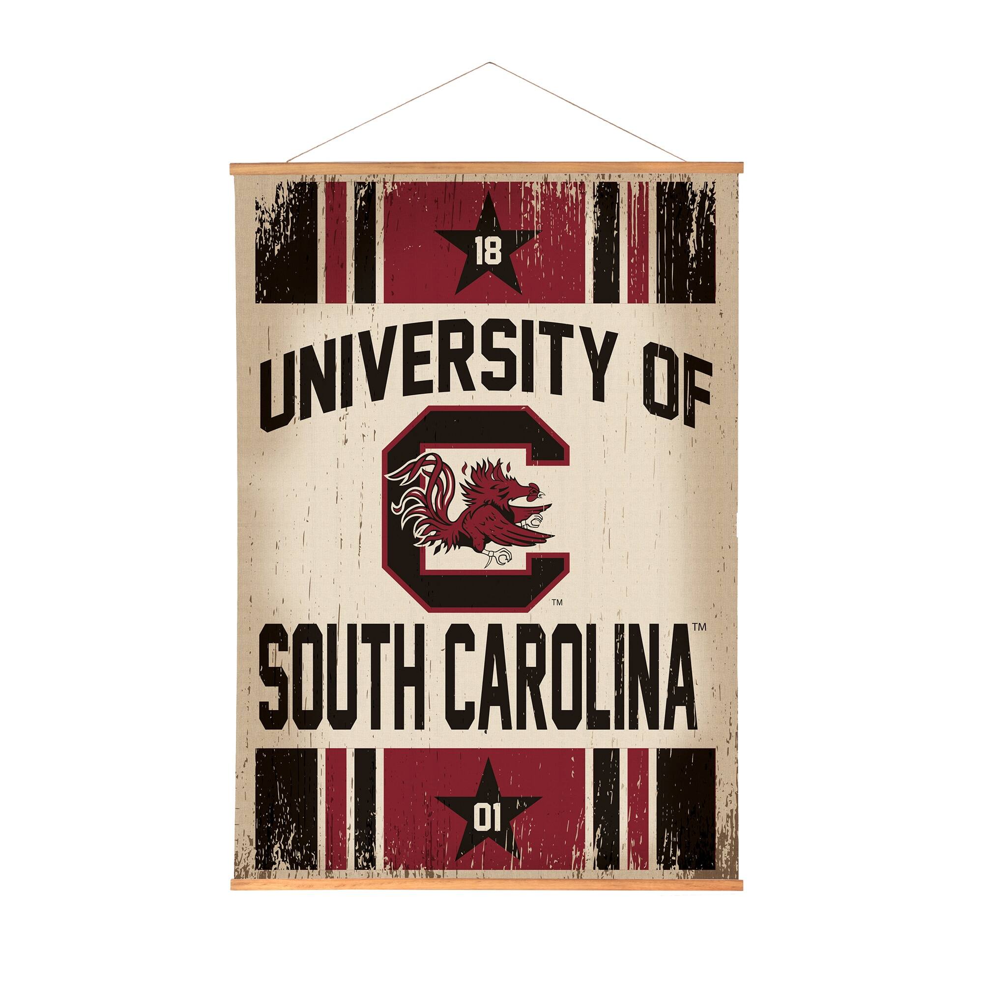 South Carolina Gamecocks 36" x 54" Large Canvas Wall Art Tapestry with Wood Frame