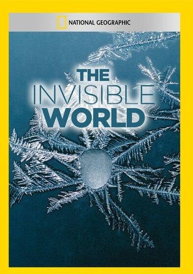 The Invisible World - DVD price history on PriceWatchPro