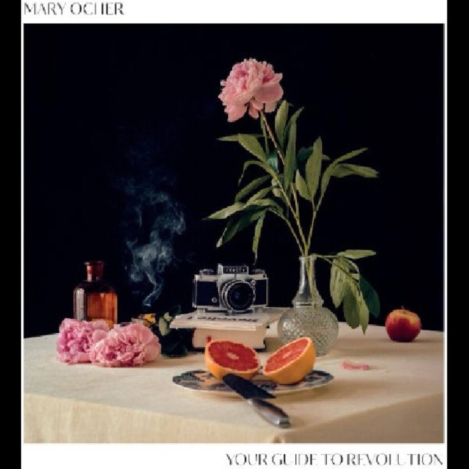 Mary Ocher - Your Guide To Revolution   - VINYL LP price history on PriceWatchPro