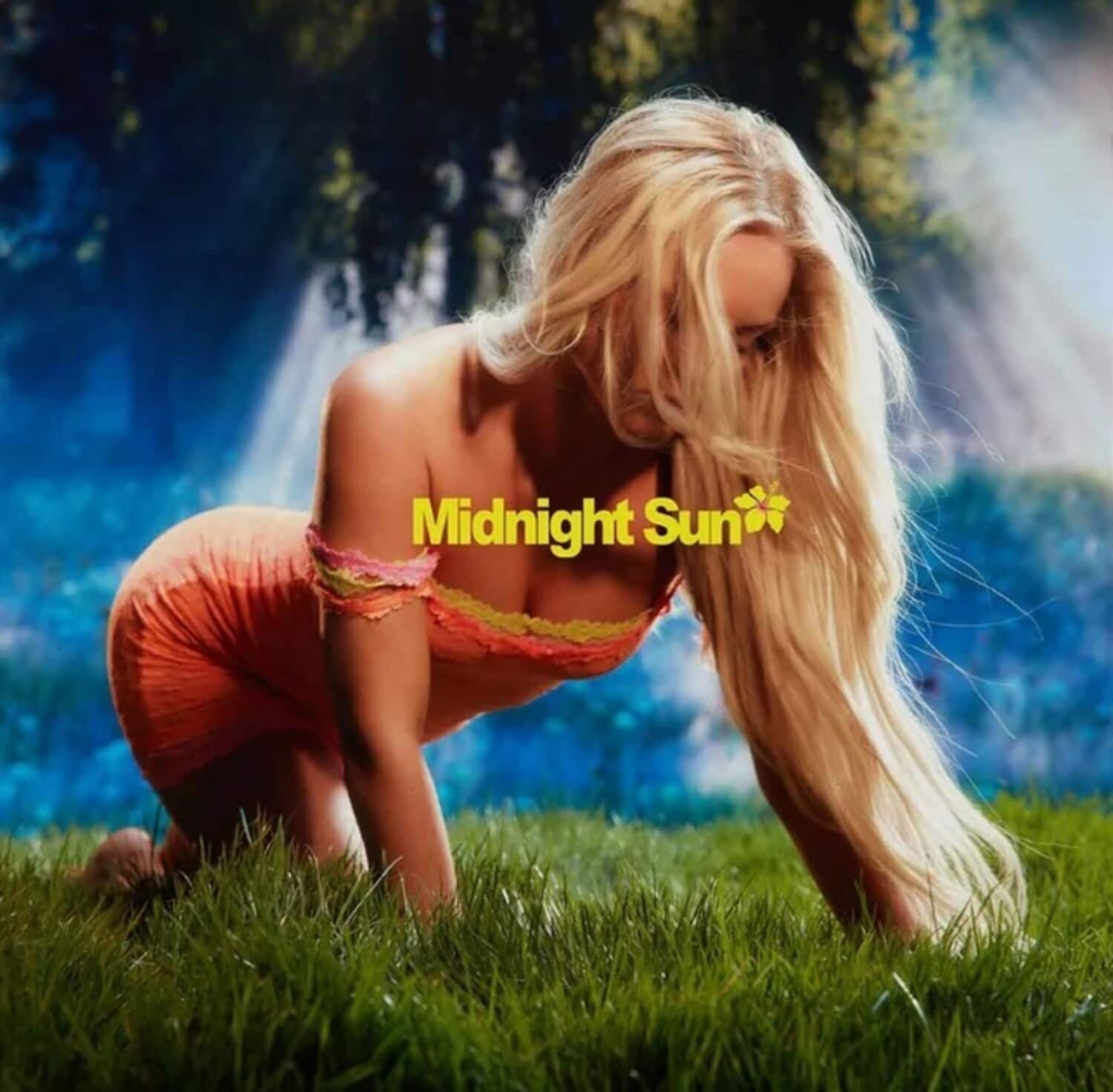 Zara Larsson - Midnight Sun   - VINYL LP price history on PriceWatchPro
