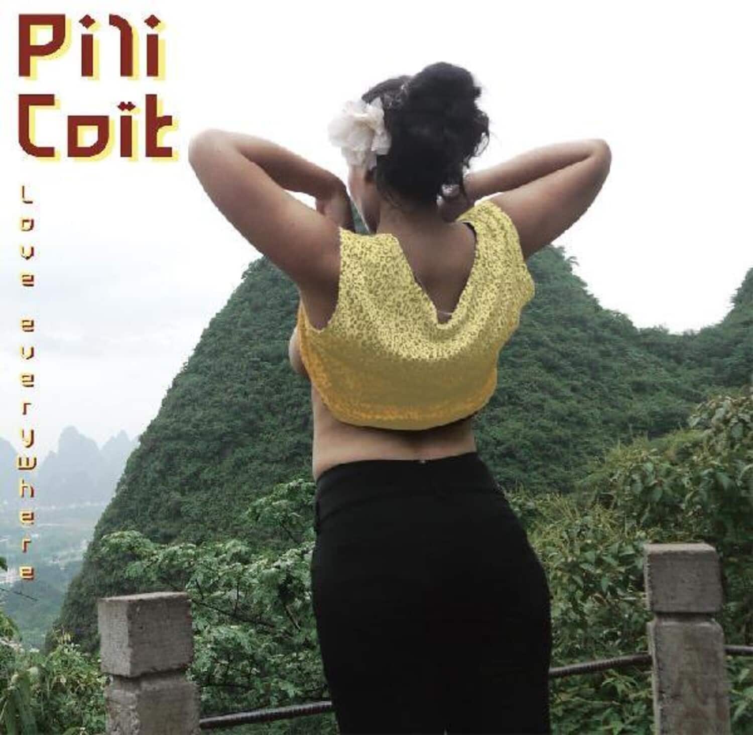 Pili Coit - Love Everywhere   - VINYL LP price history on PriceWatchPro