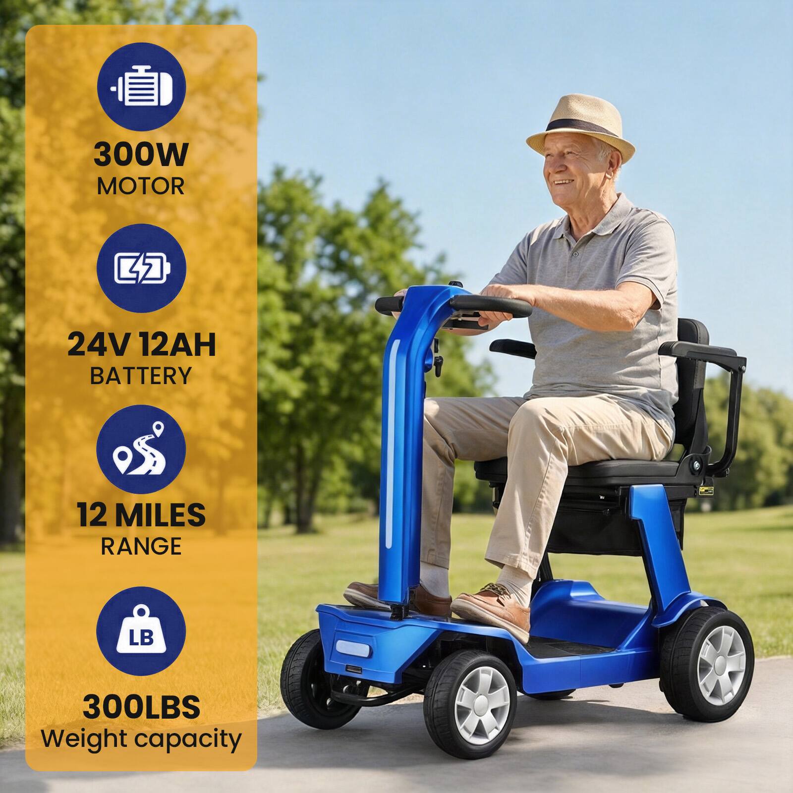 300W MOTOR  
24V 12AH BATTERY  
12 MILES RANGE  
300LBS Weight capacity