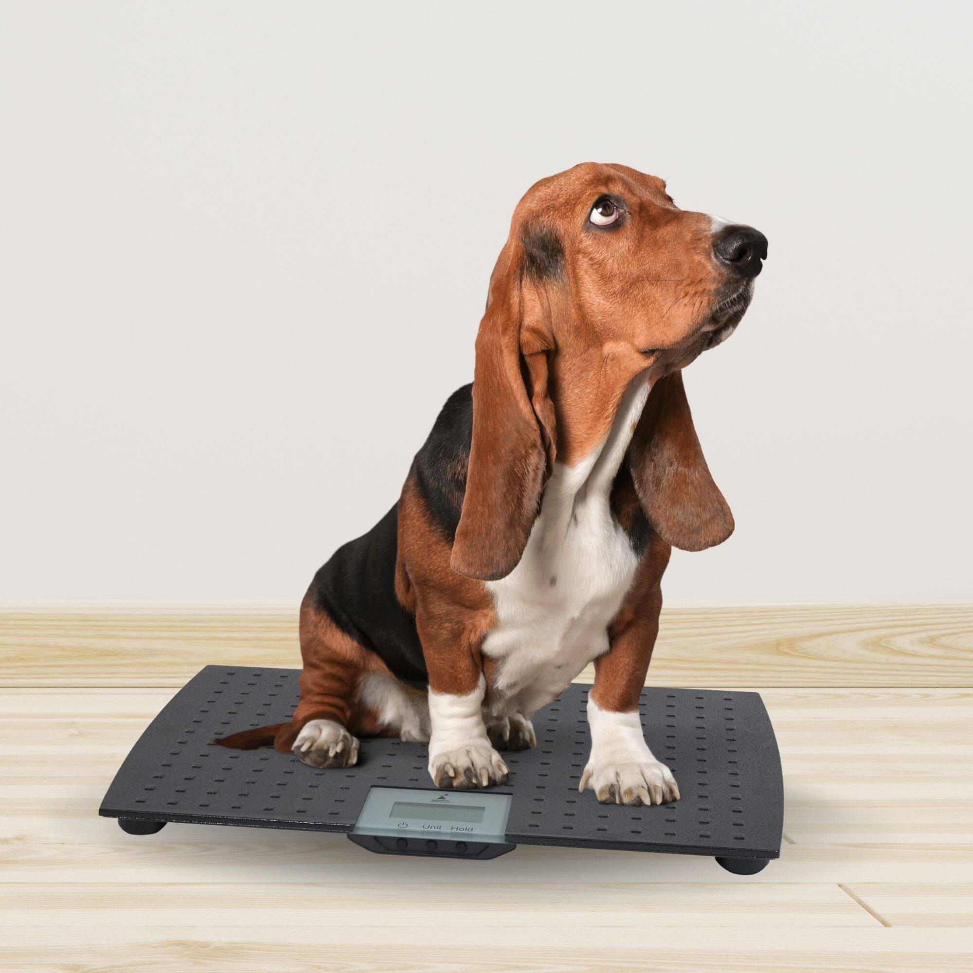 Alt View 4. Redmon - Redmon Pet Partners Large Non-Skid Rubber Precision Digital Pet Weight Scale.