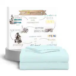 04 - Pale Aqua Queen