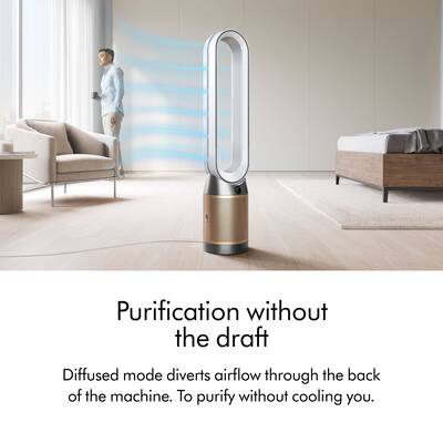 Dyson Purifier Cool PC2 De NOx​ White/Gold 544536-01 - Best Buy