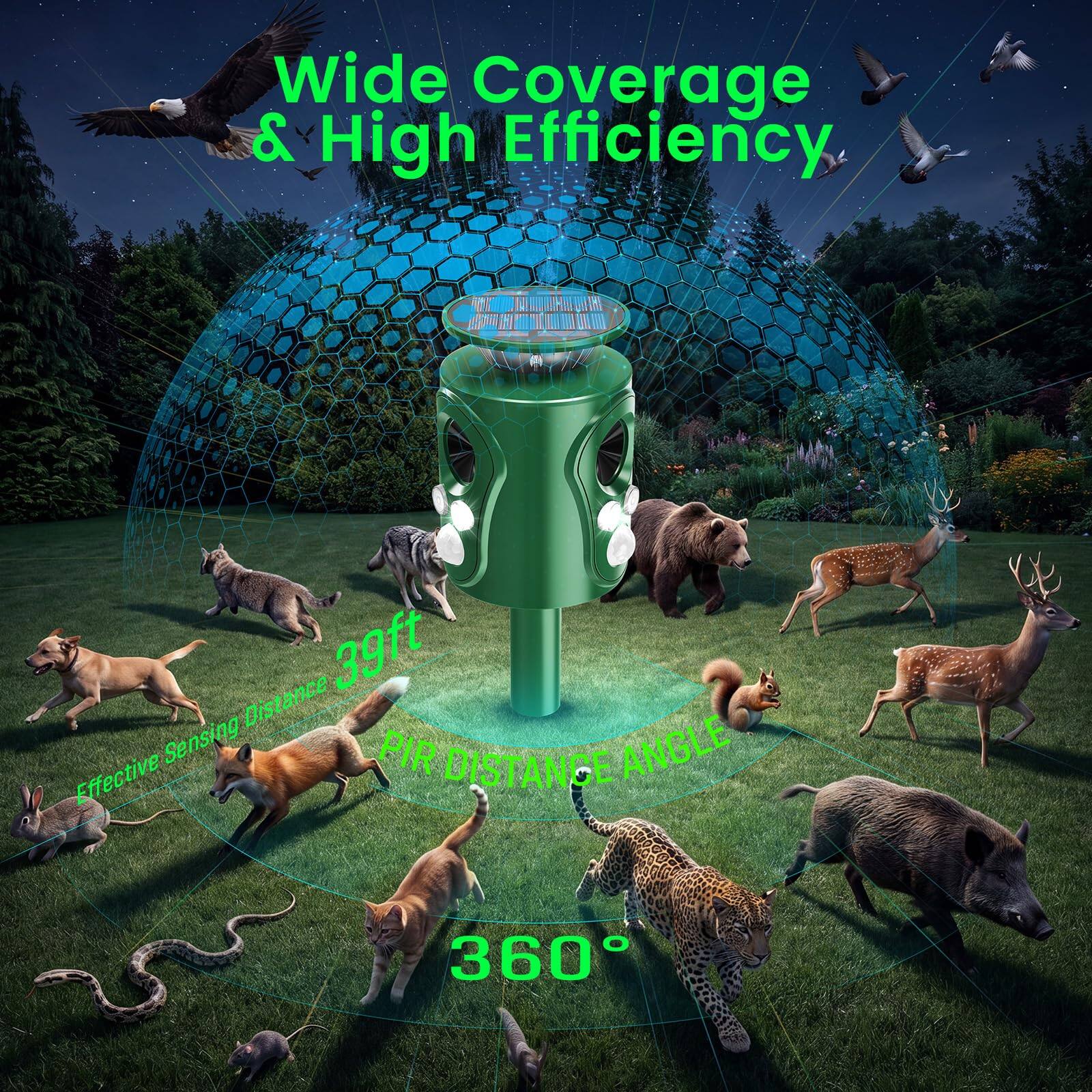 Wide Coverage & High Efficiency

000 NOA

39ft Distance Sensing

PIR ANGLE

Effective DISTANCE

360°