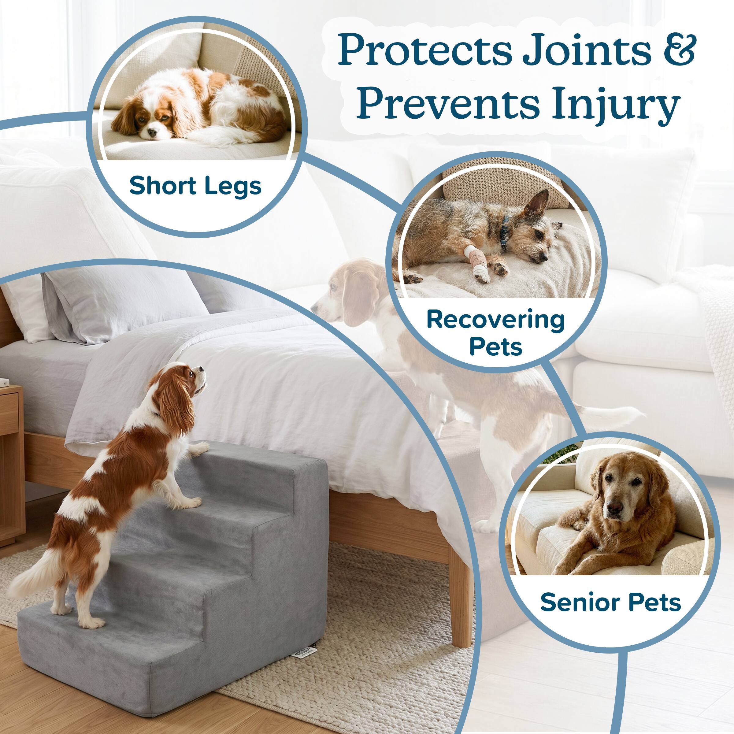 Protects Joints & Prevents Injury  
- Short Legs  
- Recovering Pets  
- Senior Pets