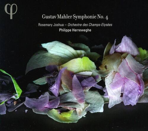 Philippe Herreweghe - Symphony 4   - COMPACT DISCS [CD] price history on PriceWatchPro
