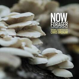 Chris Brokaw - Now Forager (Original Soundtrack) - VINYL LP