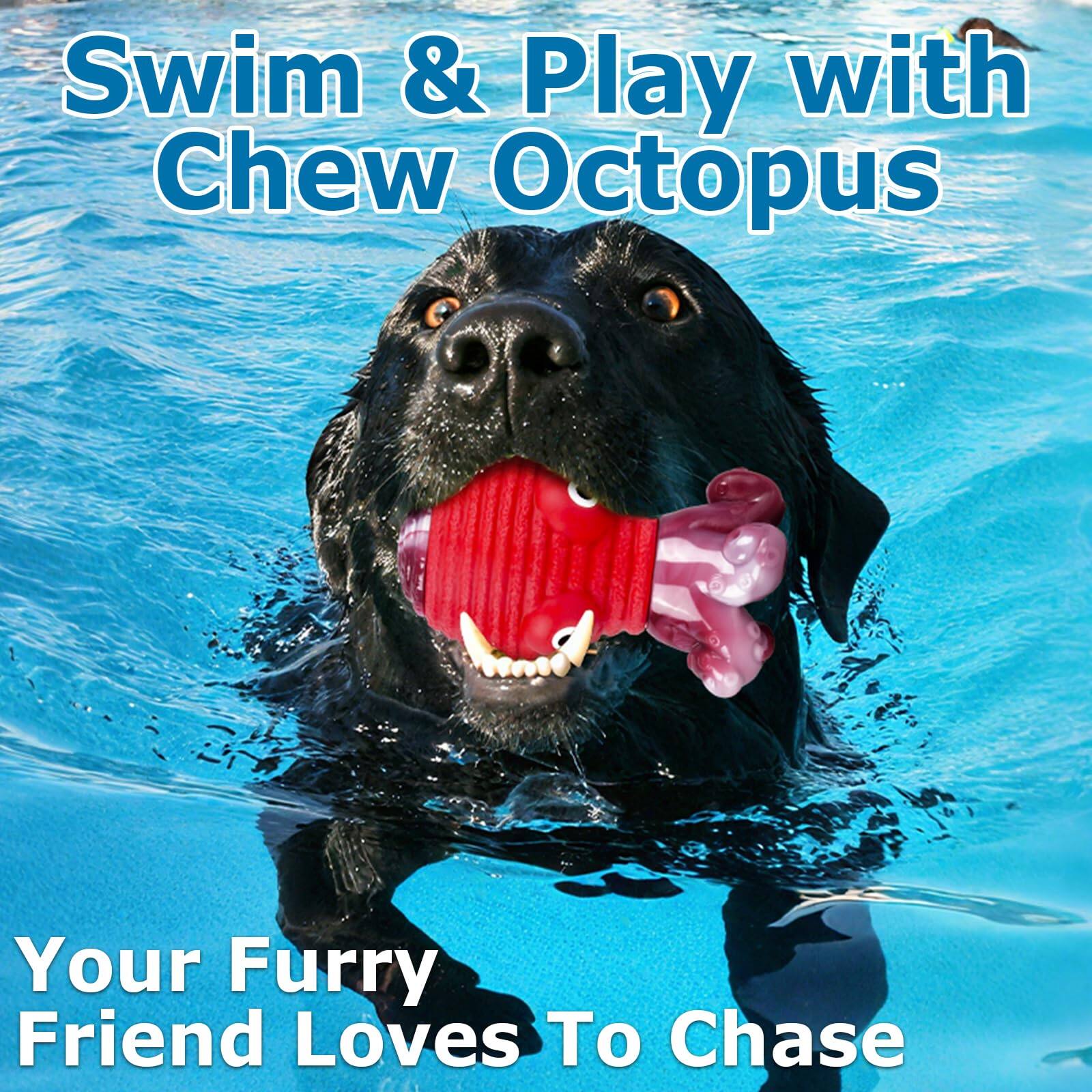 Swim & Play with Chew Octopus  
Your Furry Friend Loves To Chase