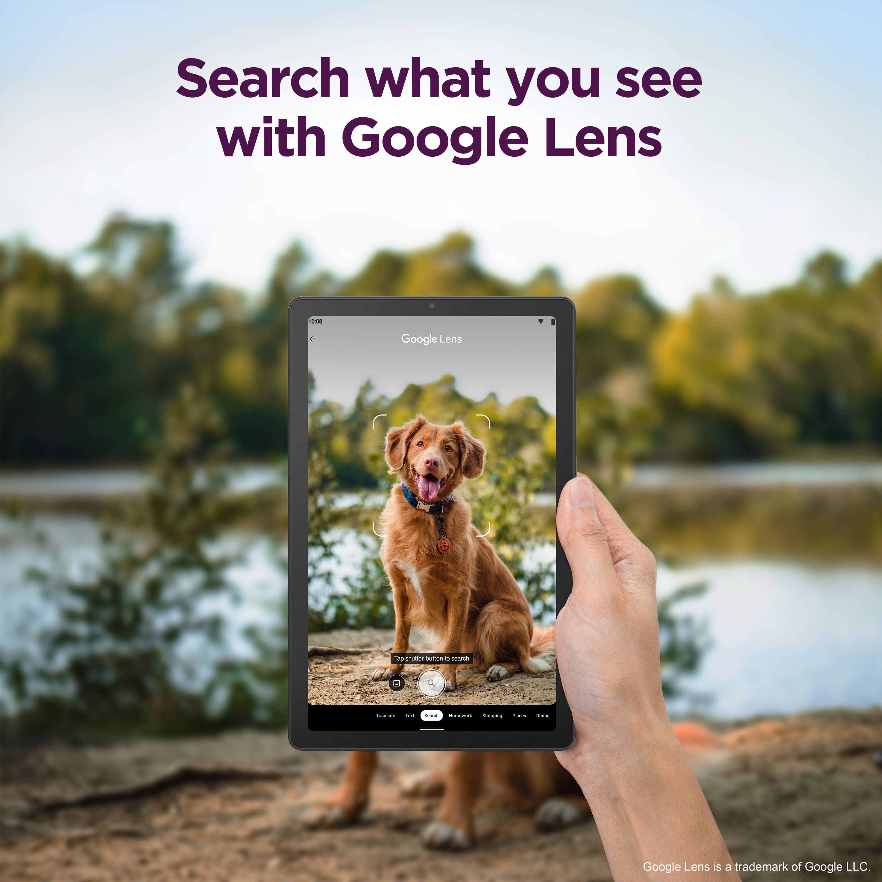 Search what you see with Google Lens.