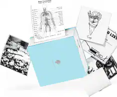 Blood Circulation
Principal Veins and Arteries
- Internal Jugular Vein
- Subclavian Vein
- Axillary Vein
- Brachial Vein
- Radial Vein
- Ulnar Vein
- Cephalic Vein
- Basilic Vein
- Median Cubital Vein
- Common Carotid Artery
- Subclavian Artery
- Axillary Artery
- Brachial Artery
- Radial Artery
- Ulnar Artery
- Superficial Palmar Arch
- Deep Palmar Arch
- Common Intercostal Veins
- Internal Thoracic Veins
- Azygos Vein
- Hemiazygos Vein
- Accessory Hemiazygos Vein
- Thoracic Vertebrae
- Intercostal Arteries
- Internal Thoracic Artery
- Thoracic Aorta
- Superior Vena Cava
- Inferior Vena Cava
- Aorta
- Pulmonary Artery
- Pulmonary Veins
- Right Atrium
- Right Ventricle
- Left Atrium
- Left Ventricle
- Apex of