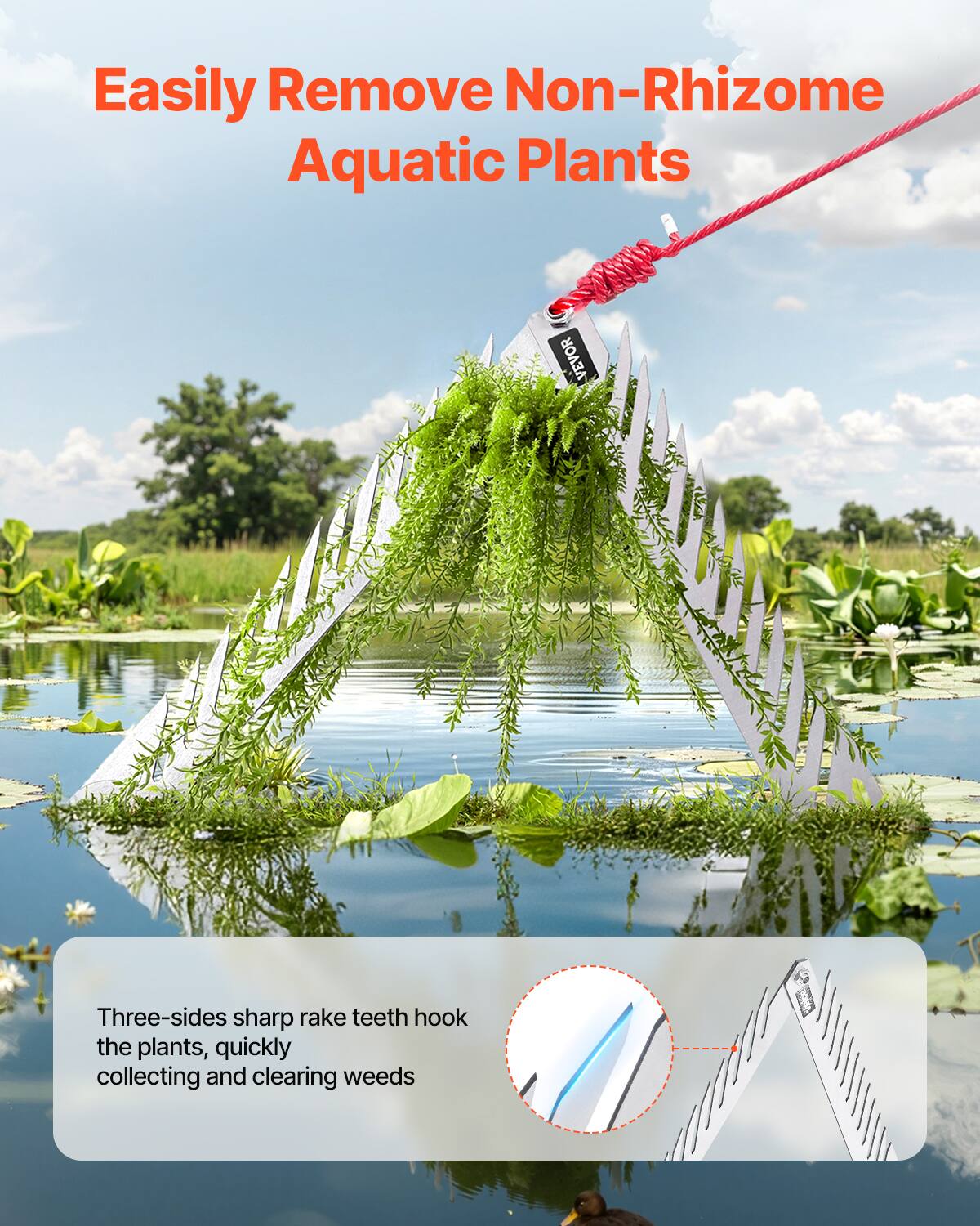 Easily Remove Non-Rhizome Aquatic Plants

Three-sides sharp rake teeth hook the plants, quickly collecting and clearing weeds