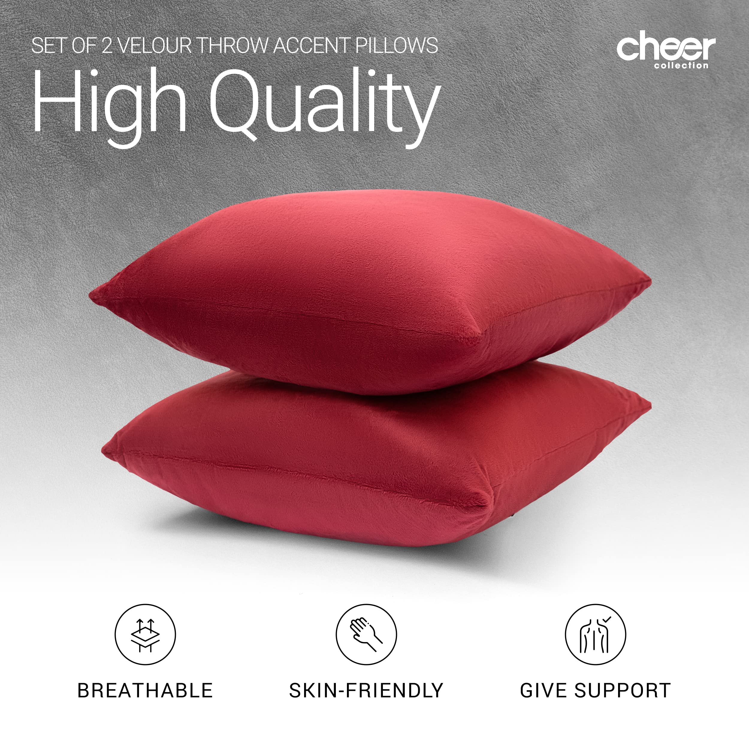 SET OF 2 VELOUR THROW ACCENT PILLOWS  
High Quality  
cheer collection  

BREATHABLE  
SKIN-FRIENDLY  
GIVE SUPPORT