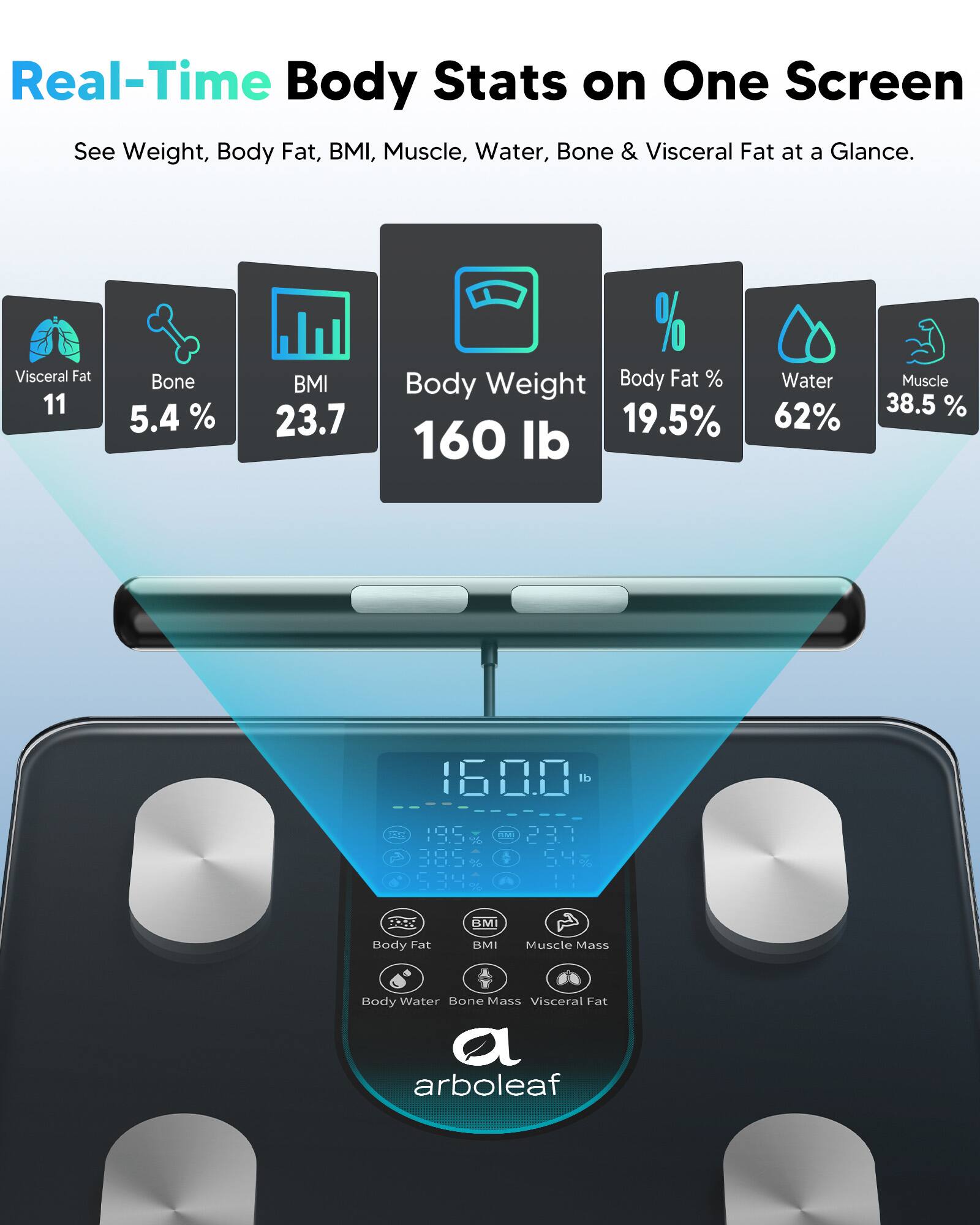 Real-Time Body Stats on One Screen  
See Weight, Body Fat, BMI, Muscle, Water, Bone & Visceral Fat at a Glance.

- Visceral Fat: 11
- Bone: 5.4%
- BMI: 23.7
- Body Weight: 160 lb
- Body Fat %: 19.5%
- Water: 62%
- Muscle: 38.5%

arboleaf