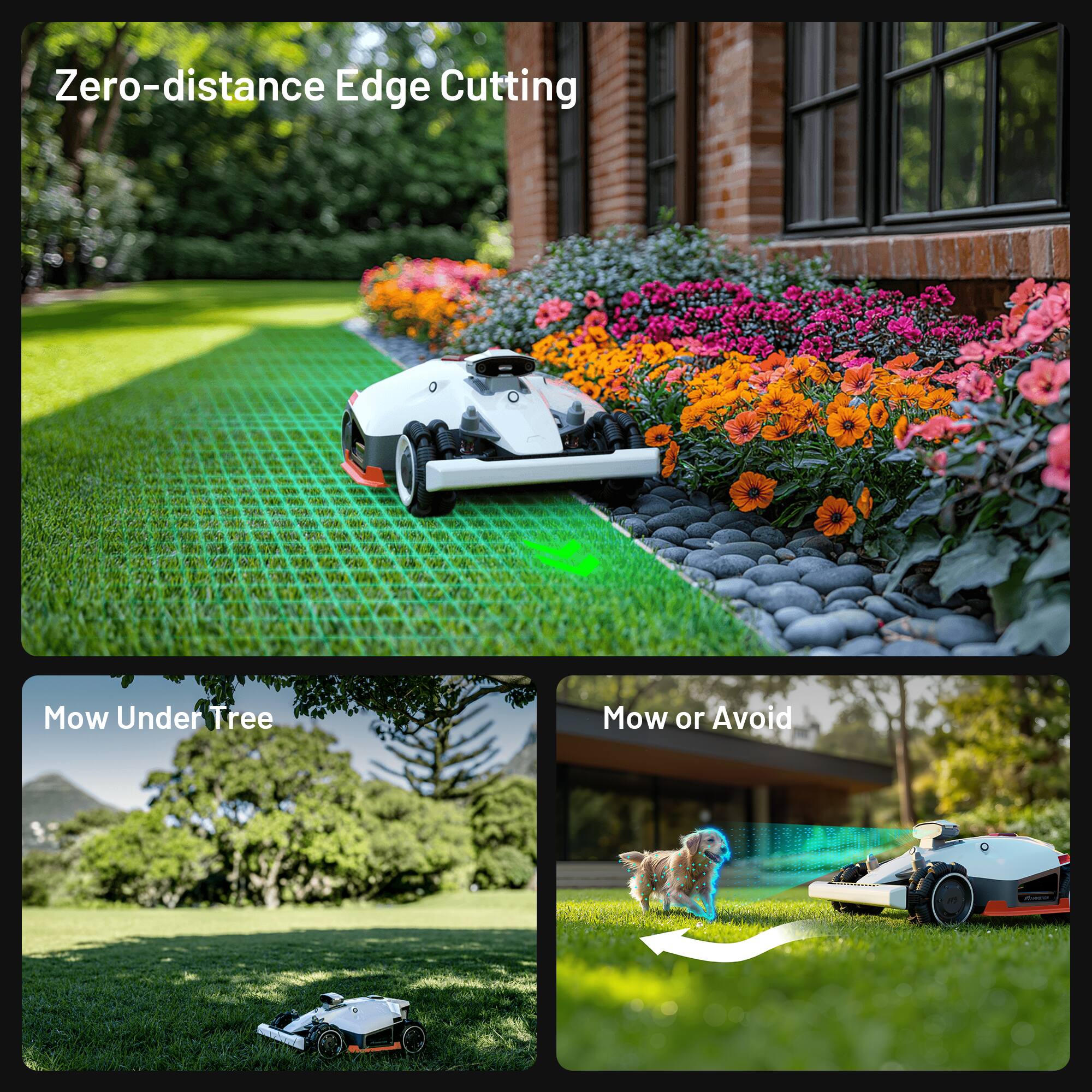 Zero-distance Edge Cutting

Mow Under Tree

Mow or Avoid