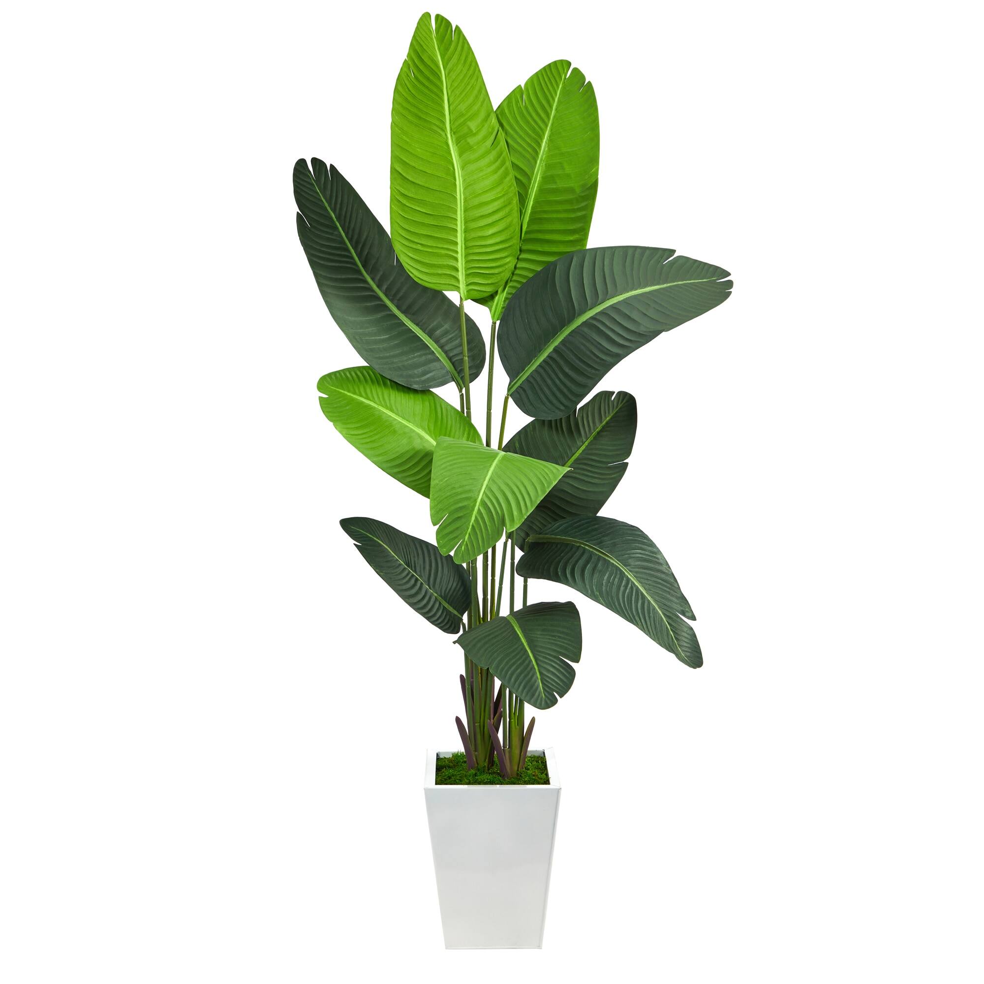 Front. BreeBe - 5.5' Travelers Palm Artificial tree in White Metal Planter - Green.