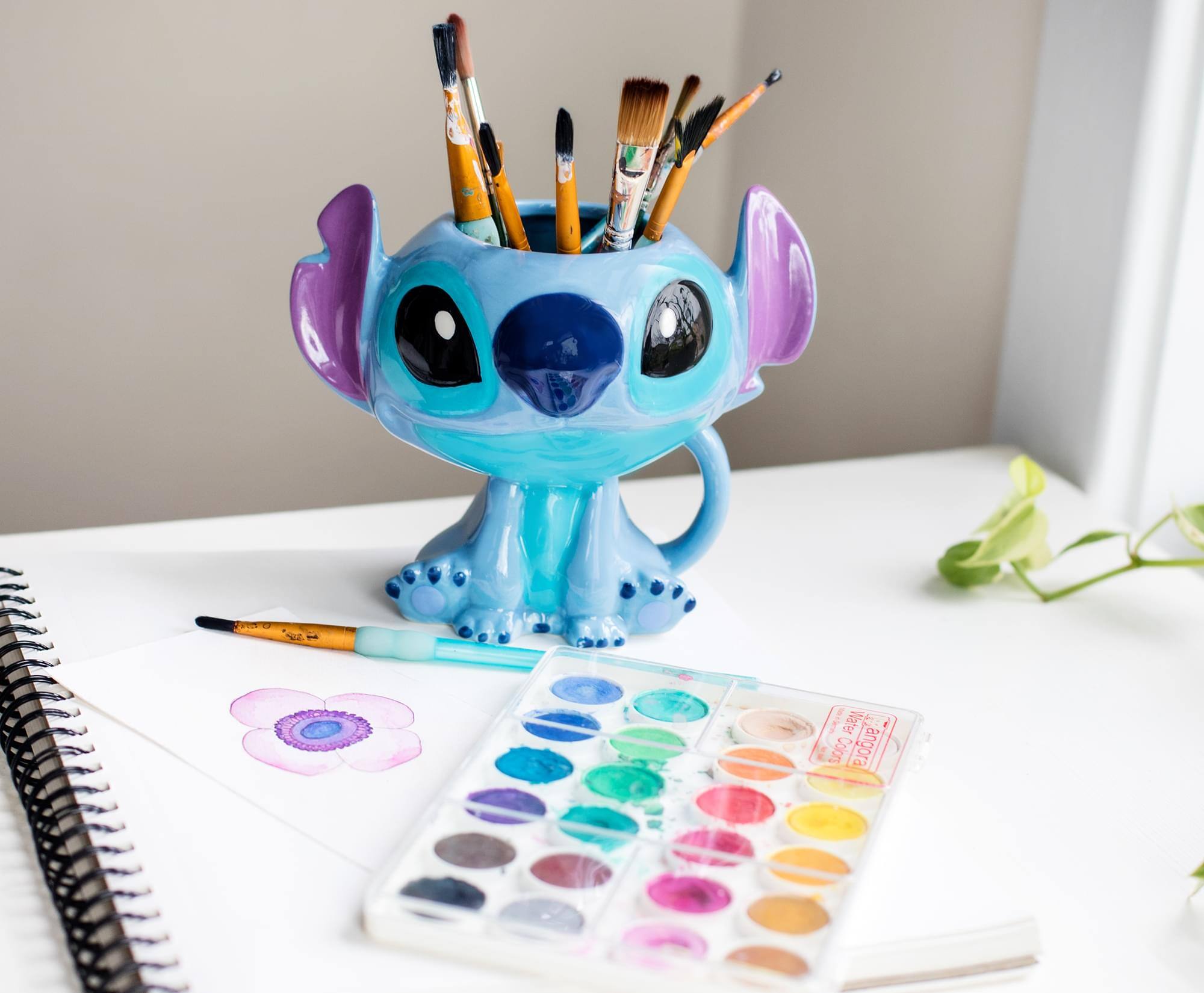 1. Nater C
2. Colors angora