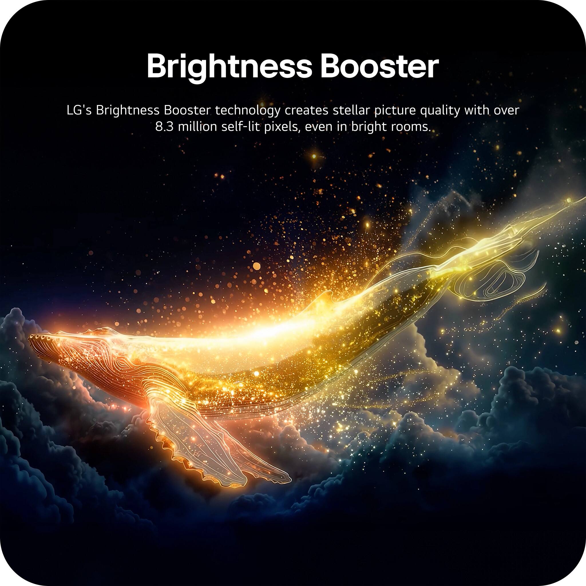 Brightness Booster

LG's Brightness Booster technology creates stellar picture quality with over 8.3 million self-lit pixels, even in bright rooms.