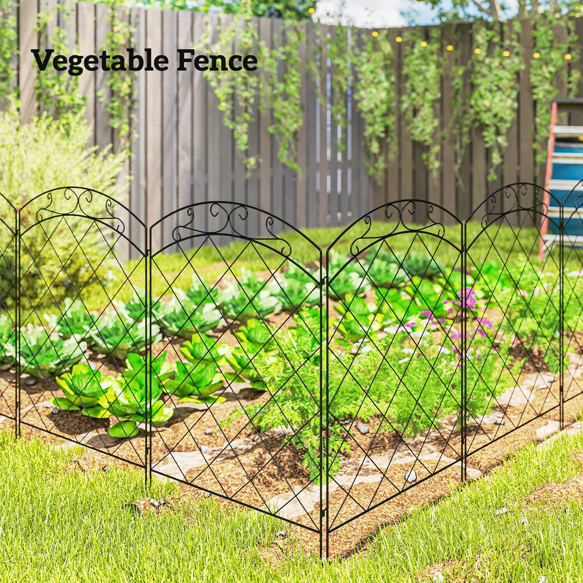 Vegetable Fence