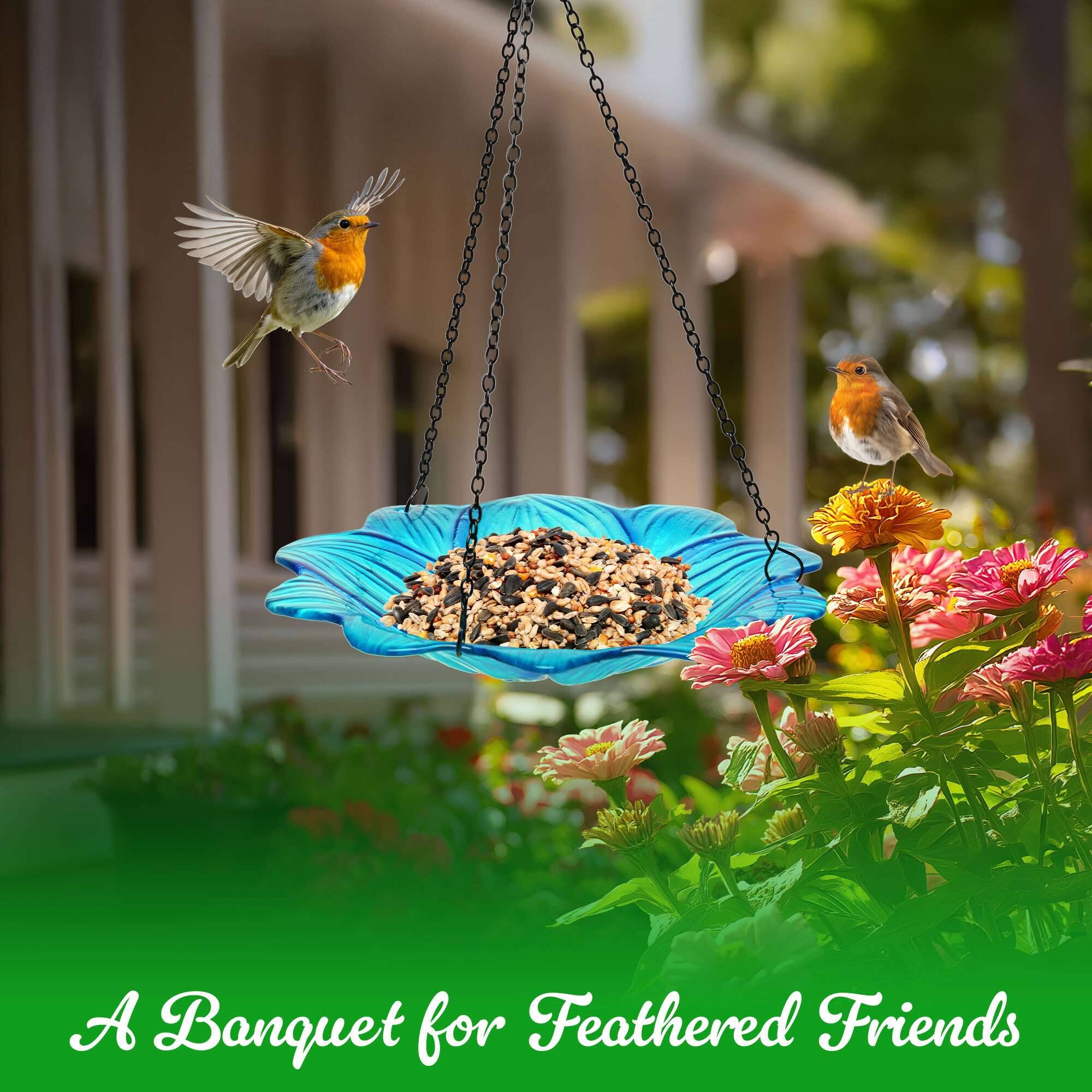 A Banquet for Feathered Friends