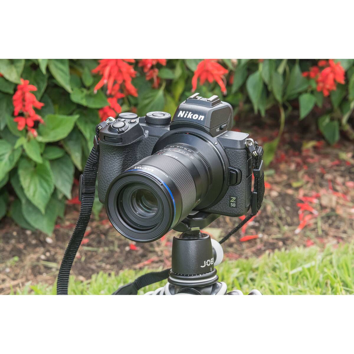 Nikon Z 50 JOB