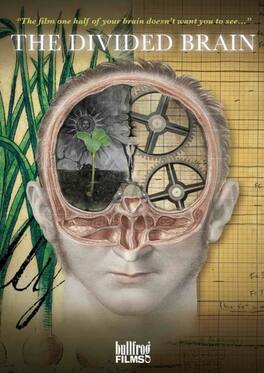 Divided Brain - DVD