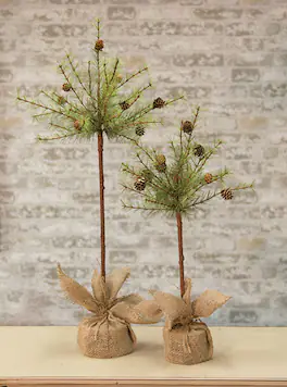 BreeBe - Cypress Topiary Tree 2 ft - Multi