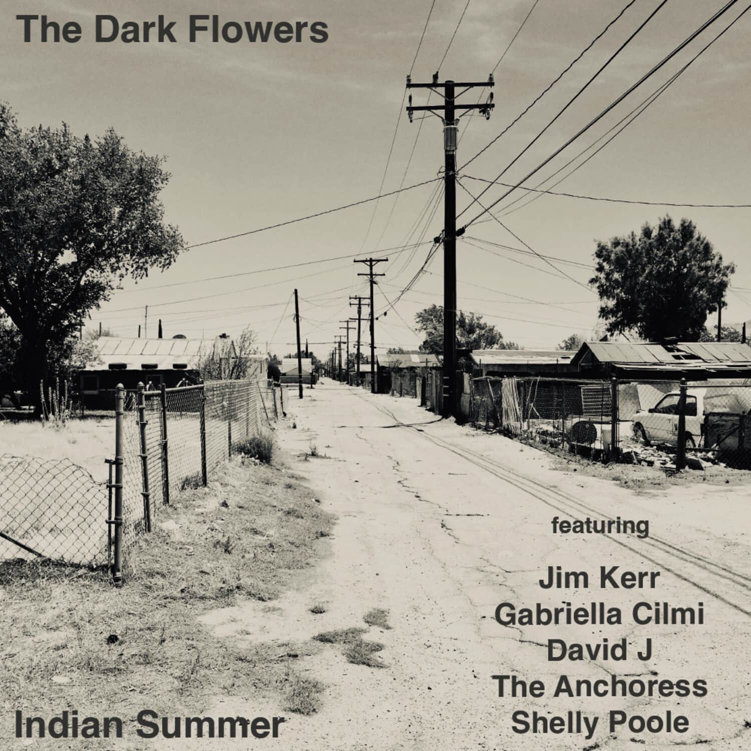 The Dark Flowers - Indian Summer  - COMPACT DISCS