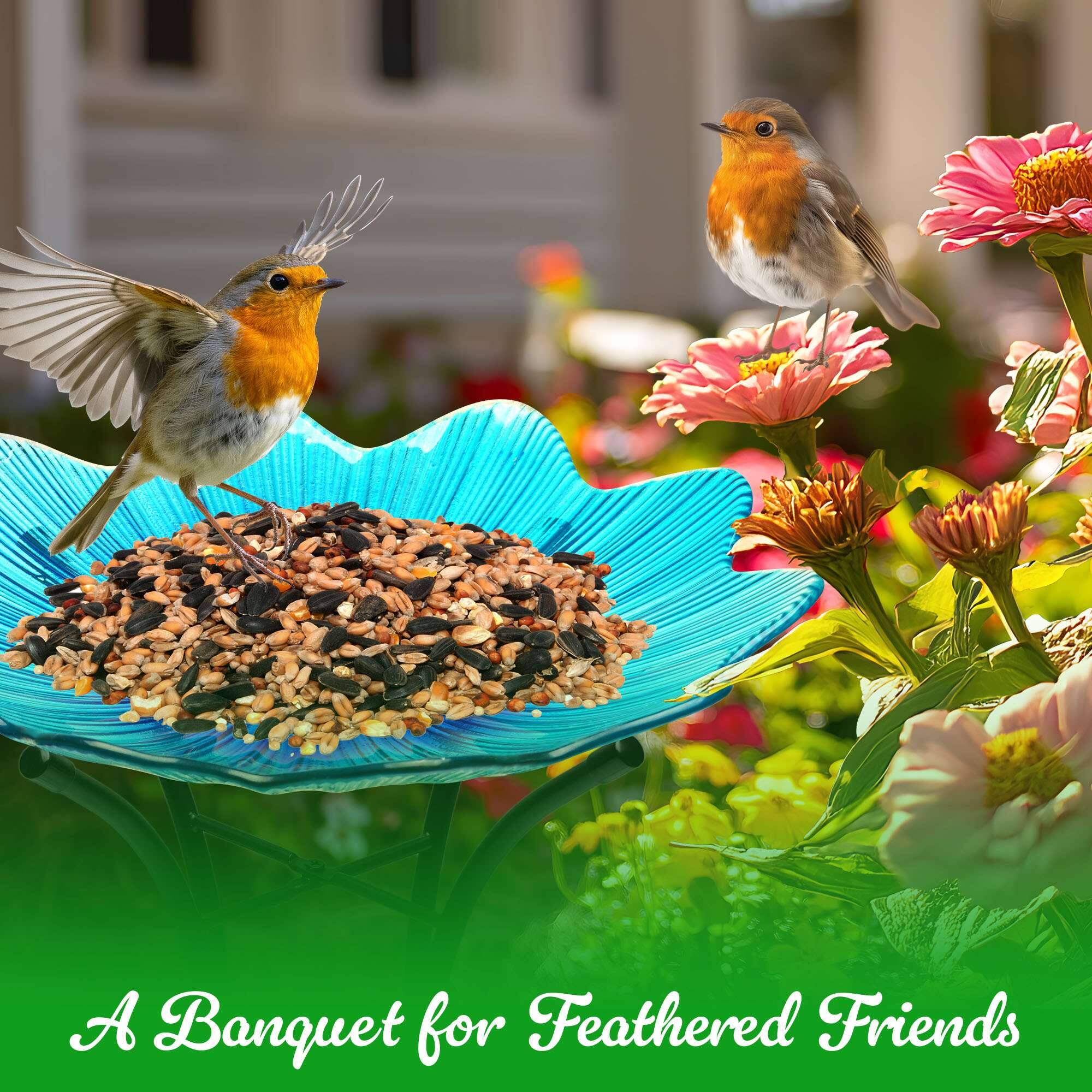 A Banquet for Feathered Friends
