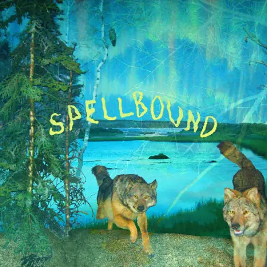 Spellbound [lp] Vinyl - Best Buy